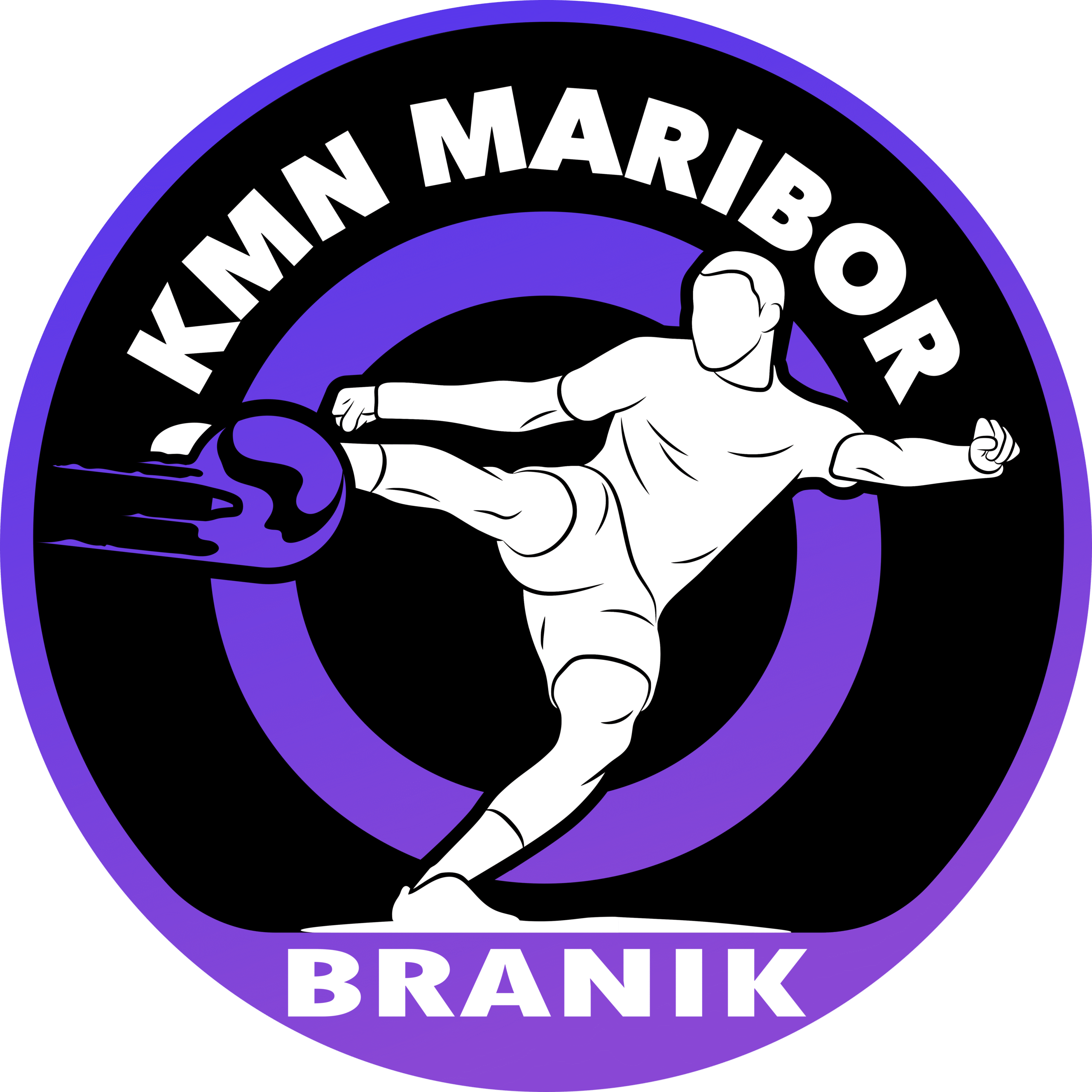 logo-branik-viol
